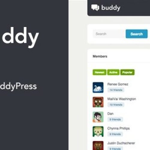 Buddy 2.23.1 – Simple WordPress & BuddyPress Theme Free Download