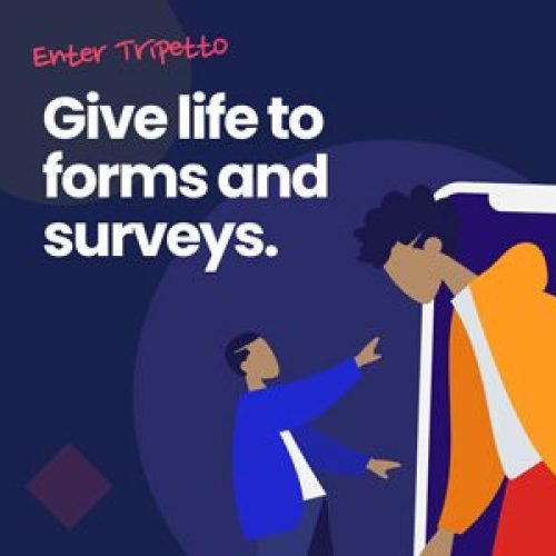 Tripetto Pro 6.0.2 – Form Builder Plugin for Your WordPress Site Free Download